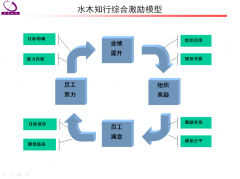 绩效管理咨询综合激励模型